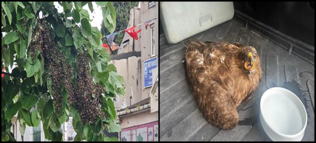 Özel Güvenlik Görevlilerinden örnek davranış.