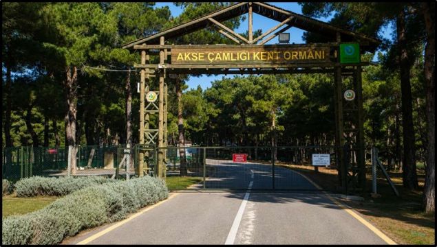 Kavgaya müdahale eden güvenlik görevlisi bıçakla yaralandı